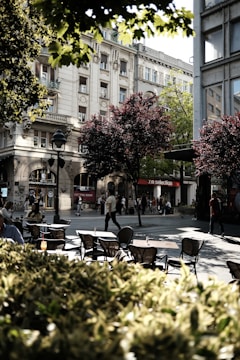 Urban scene with a few people walking past a historic building. The street features outdoor cafe seating with several tables and chairs. Lush trees with green leaves offer shade, while the sunlight casts shadows. In the background, detailed architectural elements of the buildings, such as decorative facades and balconies, are visible.