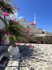 A bright and sunny scene featuring a traditional white-washed building with a blue dome, commonly seen in Greek architecture. Vibrant pink bougainvillea flowers cascade over a textured stone path, casting intricate shadows. A Greek flag is visible waving gently in the breeze against a clear blue sky.
