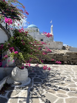 A bright and sunny scene featuring a traditional white-washed building with a blue dome, commonly seen in Greek architecture. Vibrant pink bougainvillea flowers cascade over a textured stone path, casting intricate shadows. A Greek flag is visible waving gently in the breeze against a clear blue sky.