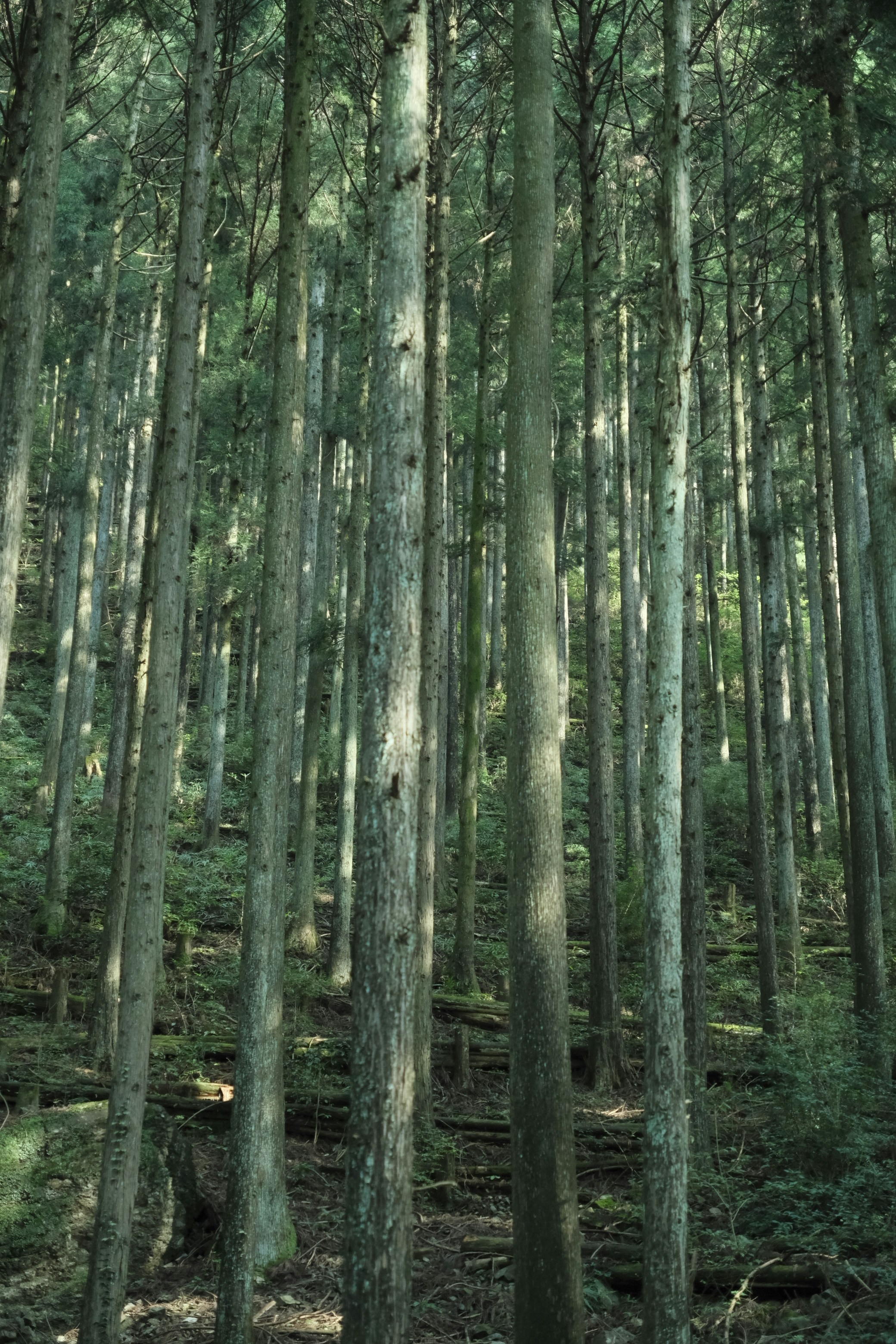 Photo by lorraine_mmm