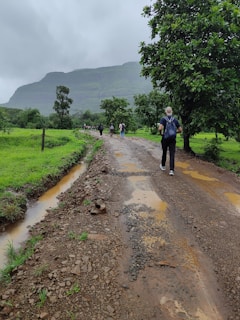 A group of hikers is walking along a muddy, rocky path surrounded by lush greenery. The overcast sky adds a sense of calmness, and there is a mountain in the background partly covered by clouds. Tall trees and vibrant grass flank both sides of the path, with small puddles of rainwater visible alongside the road.
