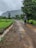 A group of hikers is walking along a muddy, rocky path surrounded by lush greenery. The overcast sky adds a sense of calmness, and there is a mountain in the background partly covered by clouds. Tall trees and vibrant grass flank both sides of the path, with small puddles of rainwater visible alongside the road.