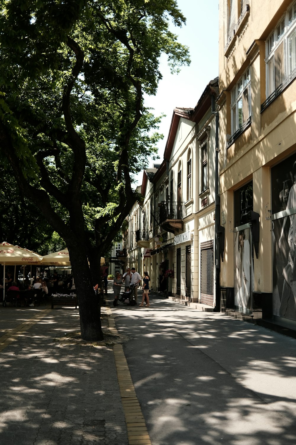 a city street lined with tall buildings and trees