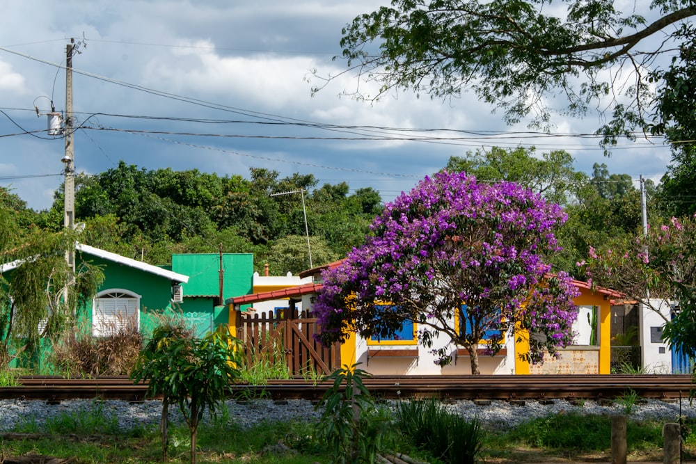 un binario ferroviario con un edificio verde e fiori viola su di esso