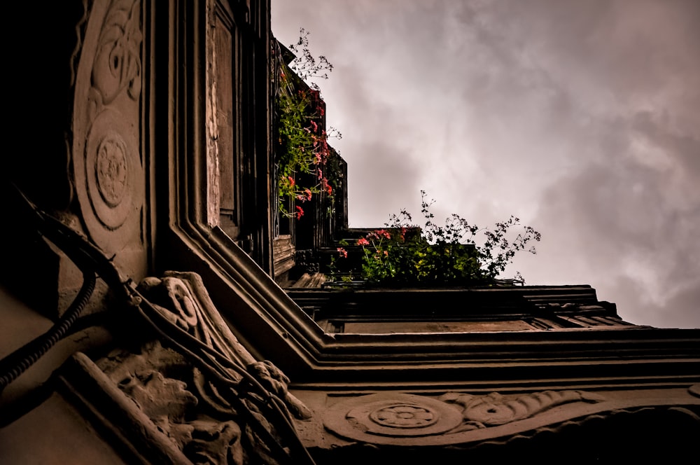 a window with a planter on the side of it