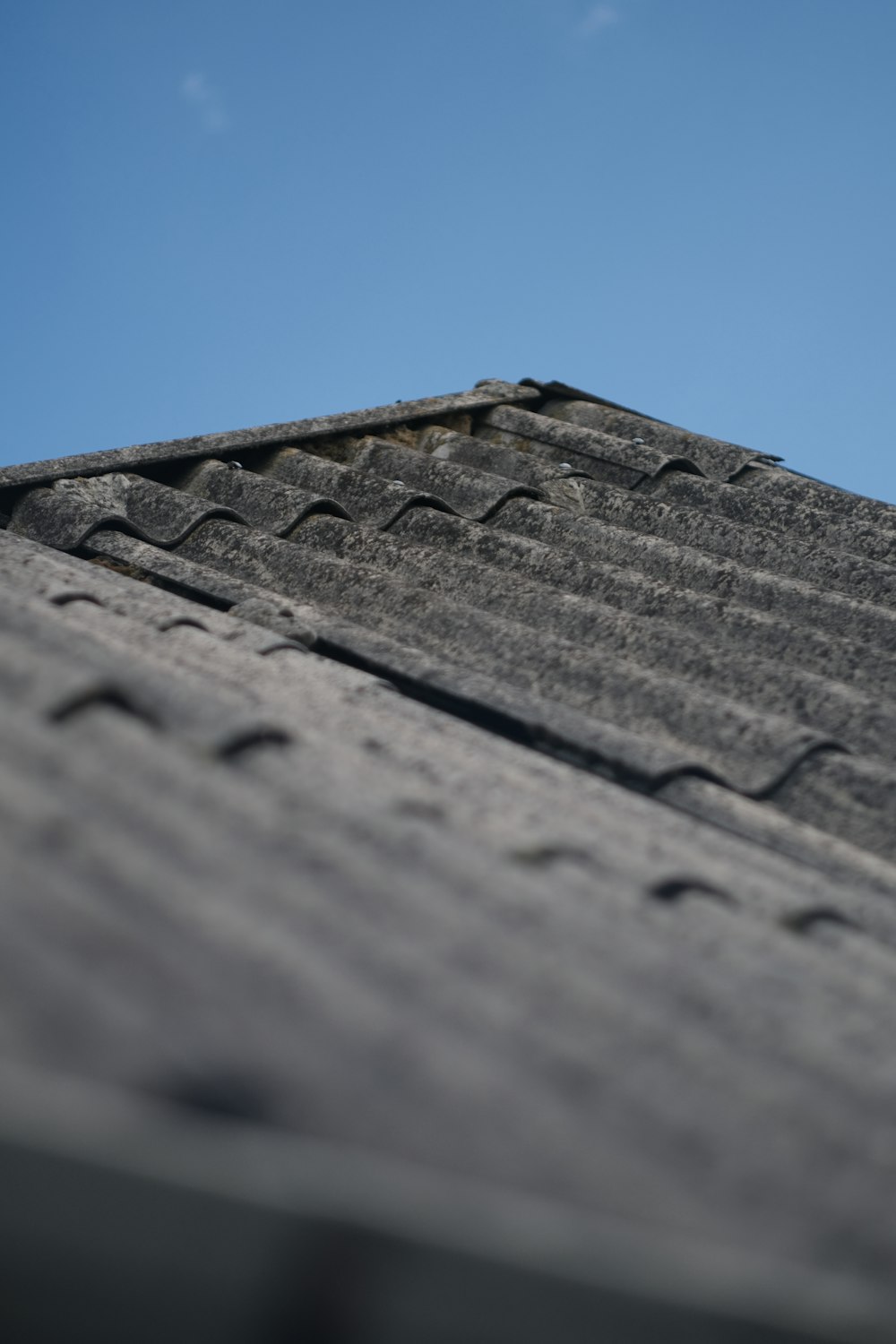 a bird is sitting on the roof of a building