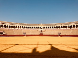 Bruno Aloi walking confidently into the bullring under a bright sky.