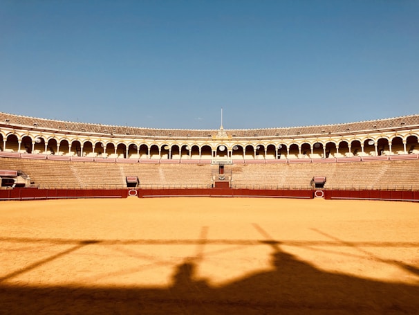 Bruno Aloi walking confidently into the bullring under a bright sky.