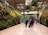 A spacious indoor area with lush vertical gardens covering the walls. Hanging plant installations are suspended from the ceiling, and several people are walking with suitcases on a polished marble floor.