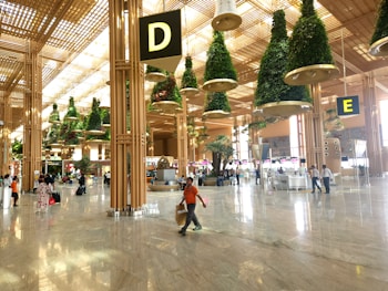 A spacious airport terminal with high ceilings and large hanging plant arrangements. Passengers are walking or sitting on benches, and the floor is made of shiny marble tiles. Large signs with the letters 'D' and 'E' mark different sections of the terminal.