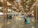 A spacious airport terminal features wooden architectural elements and large hanging planters. The reflective marble floor enhances the bright and airy atmosphere. Several travelers are visible, including a person with a teal suitcase in the foreground.