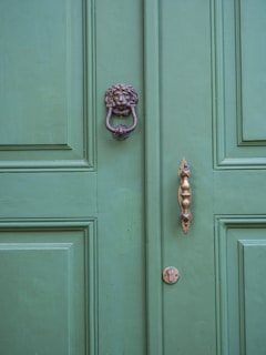 painting doors