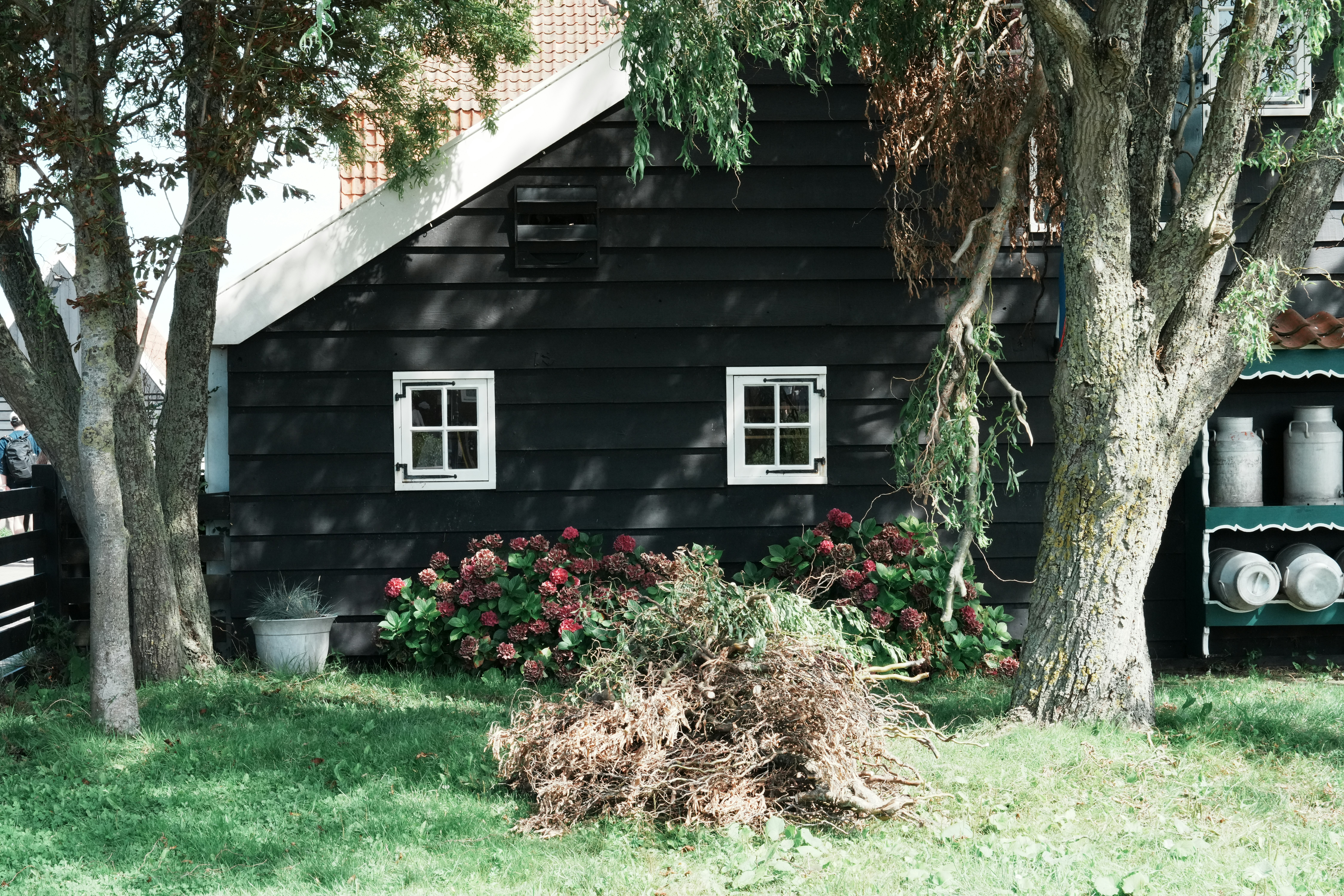 Photo by anyachernykh