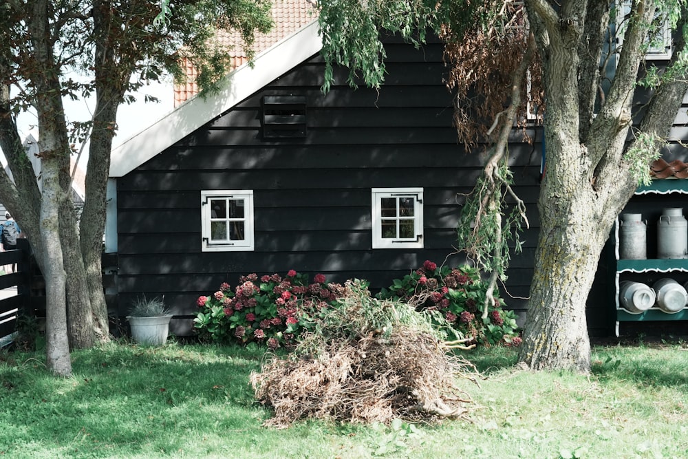 a black house with white windows and a tree in front of it