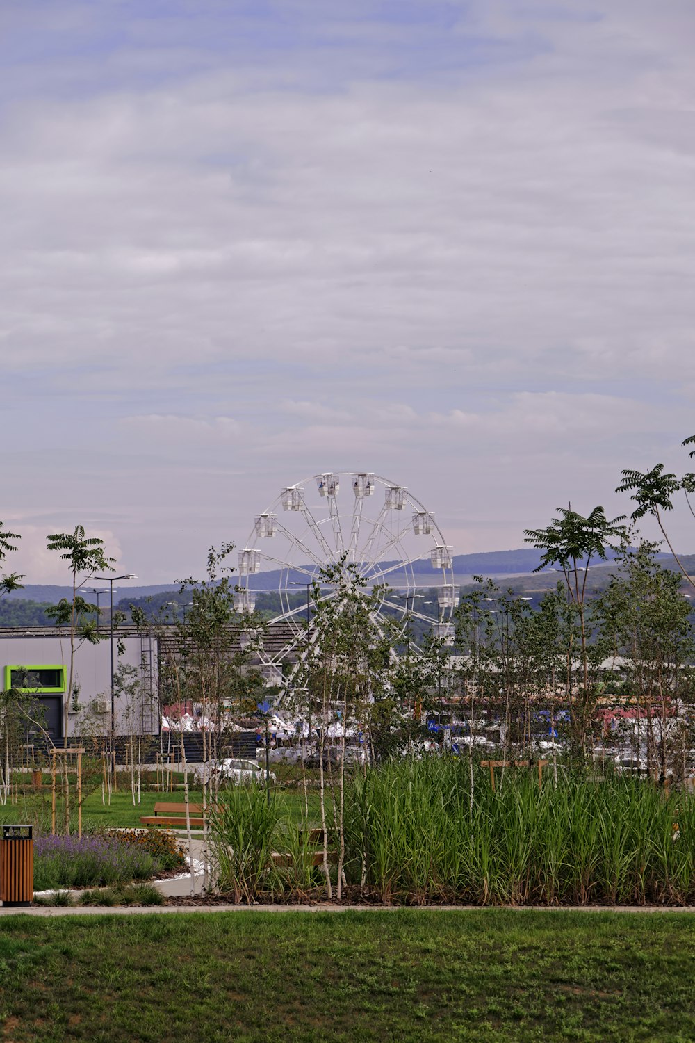 Una noria en un parque con una noria al fondo