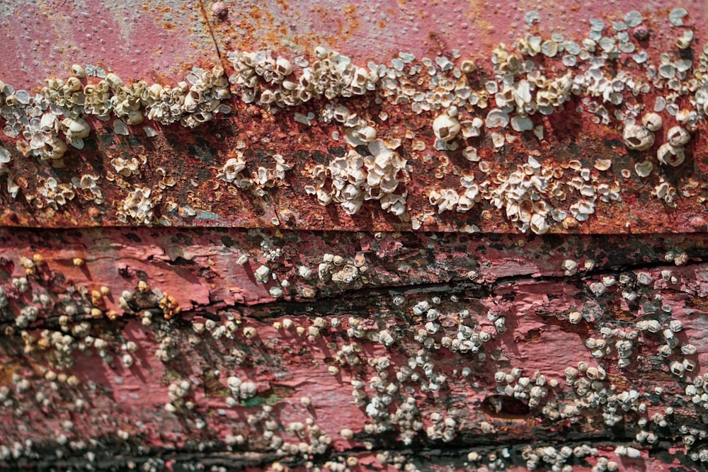 a close up of a rusted metal surface