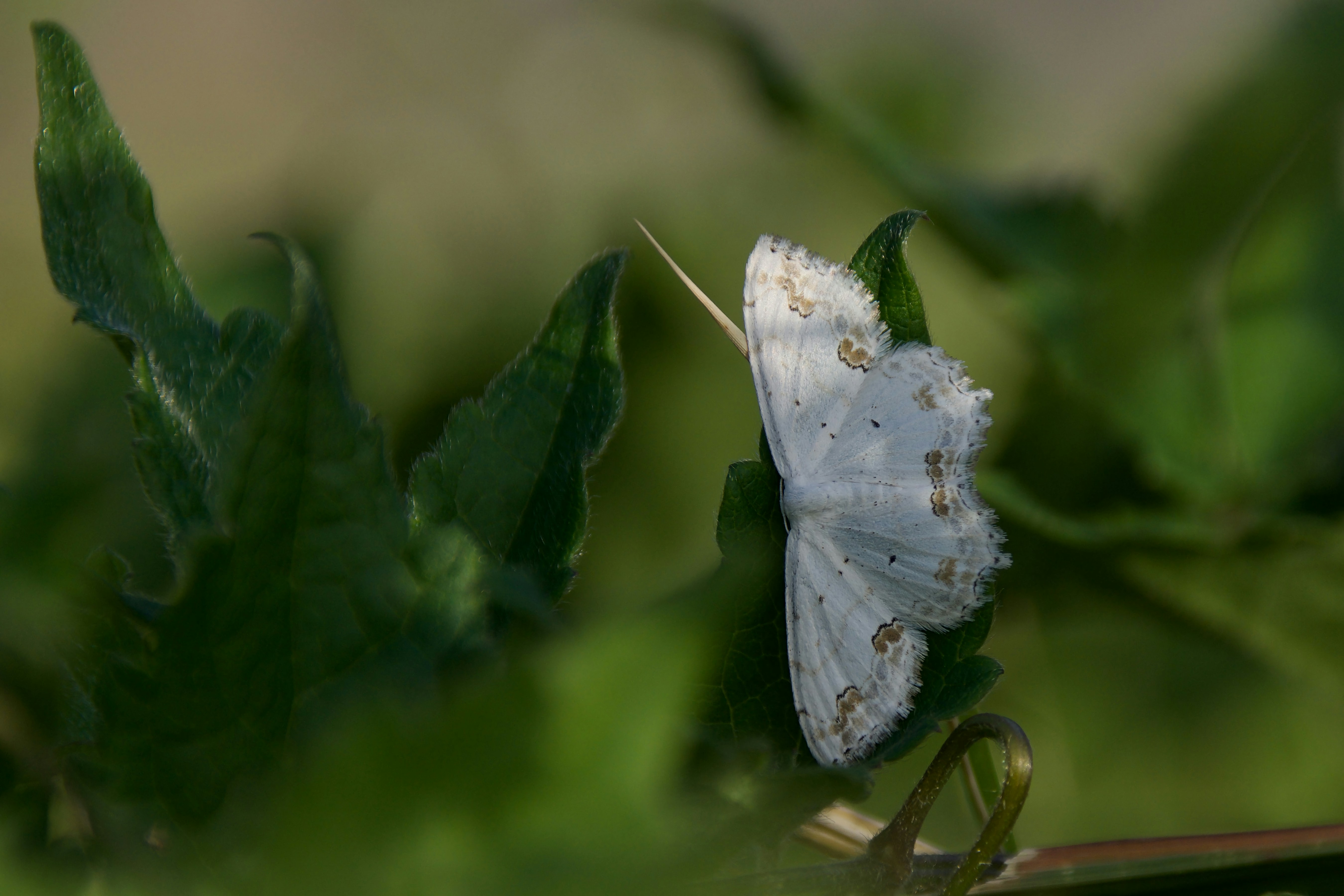 Photo by mariobeducci