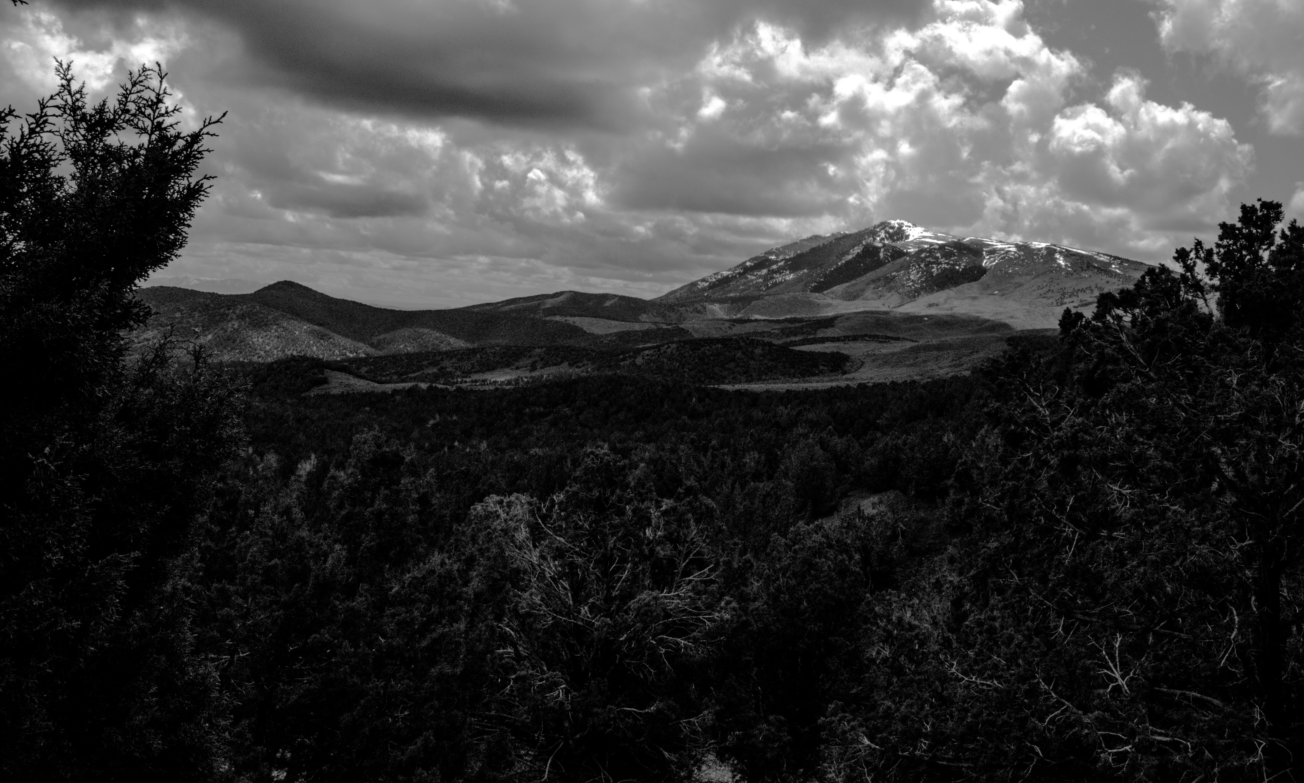 Photo by joshwalker24