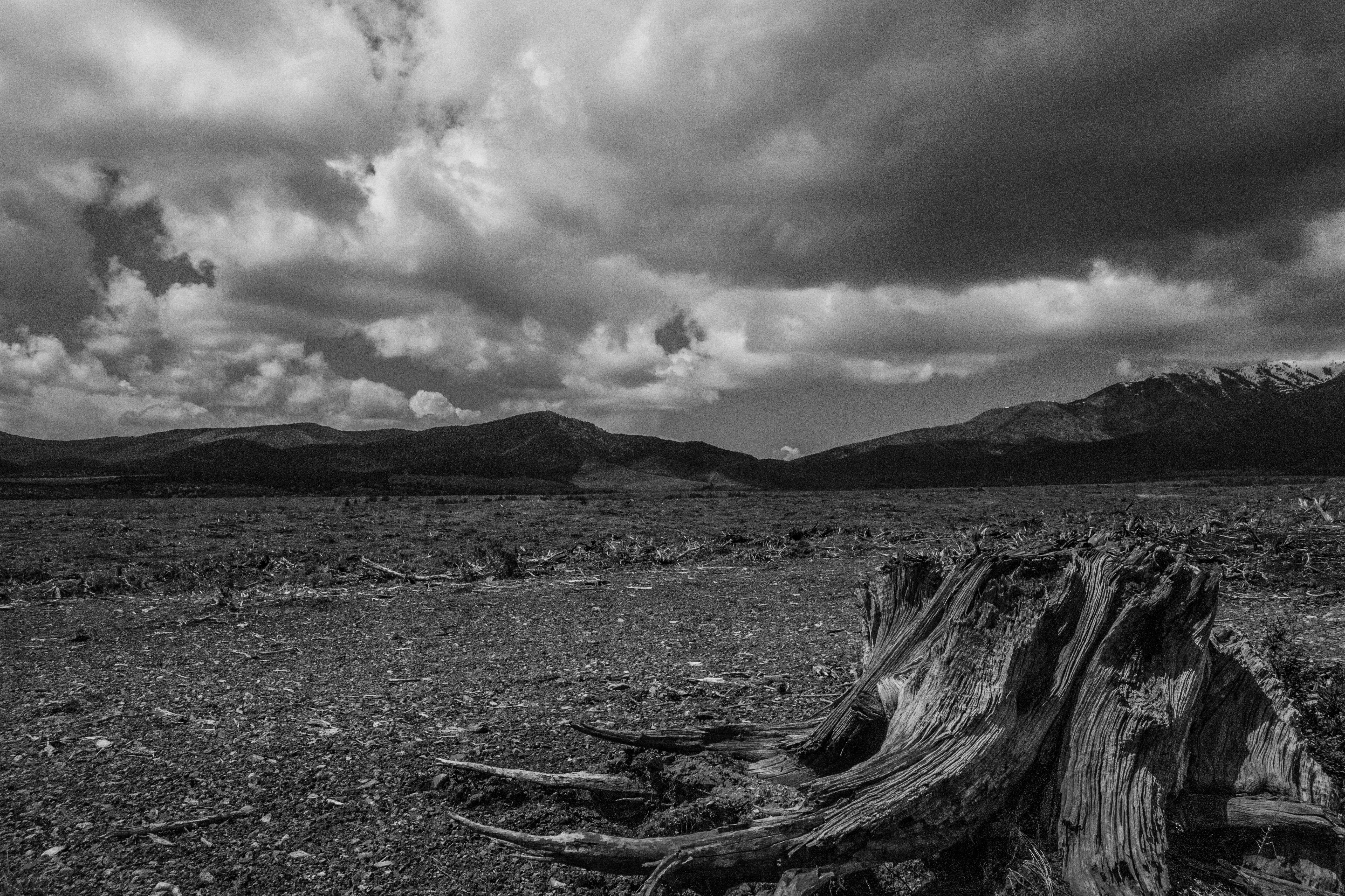 Photo by joshwalker24