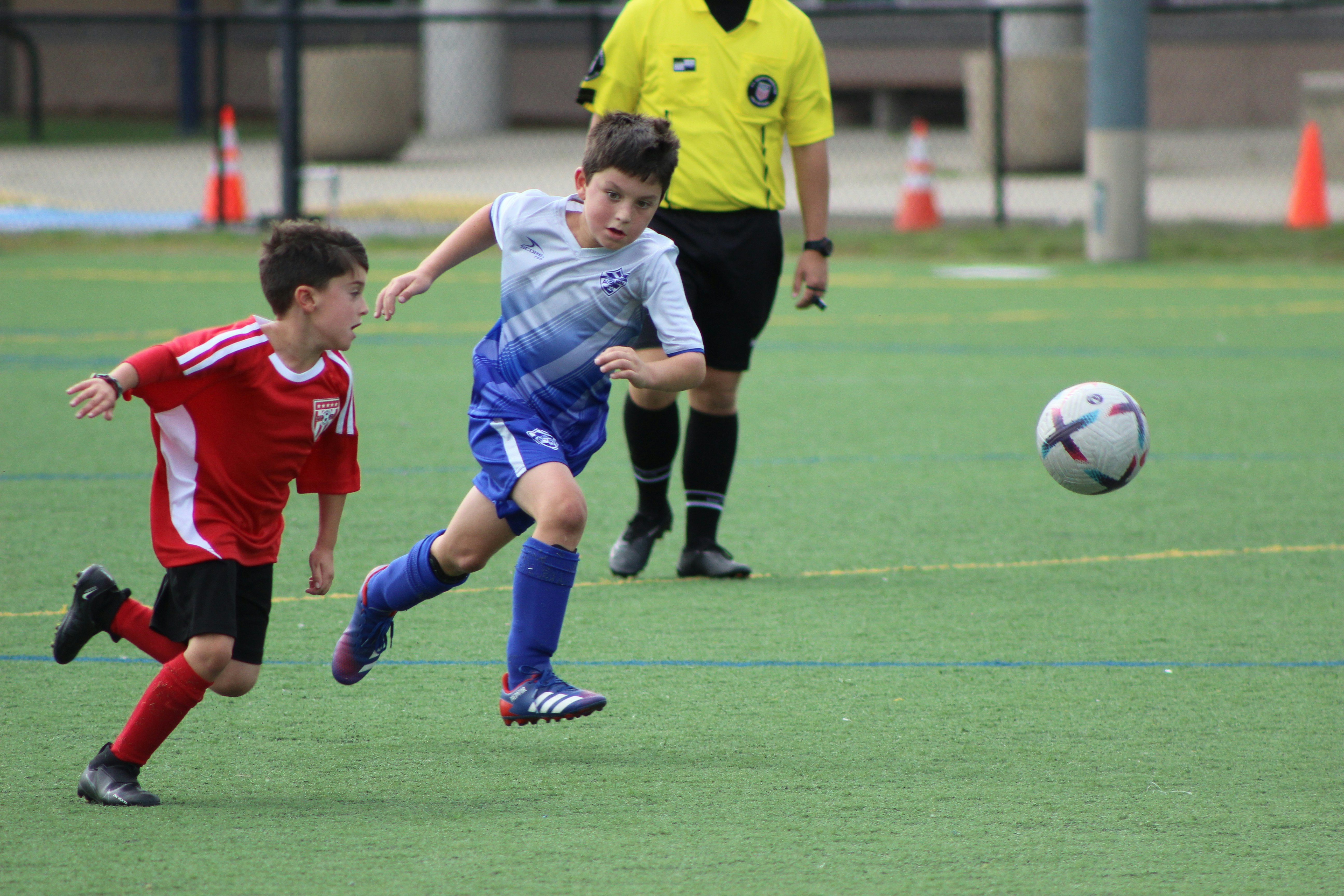 Photo by dbrewster66