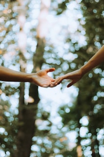 A handshake captured outdoors with a soft-focus background of green trees, representing sustainable partnerships.