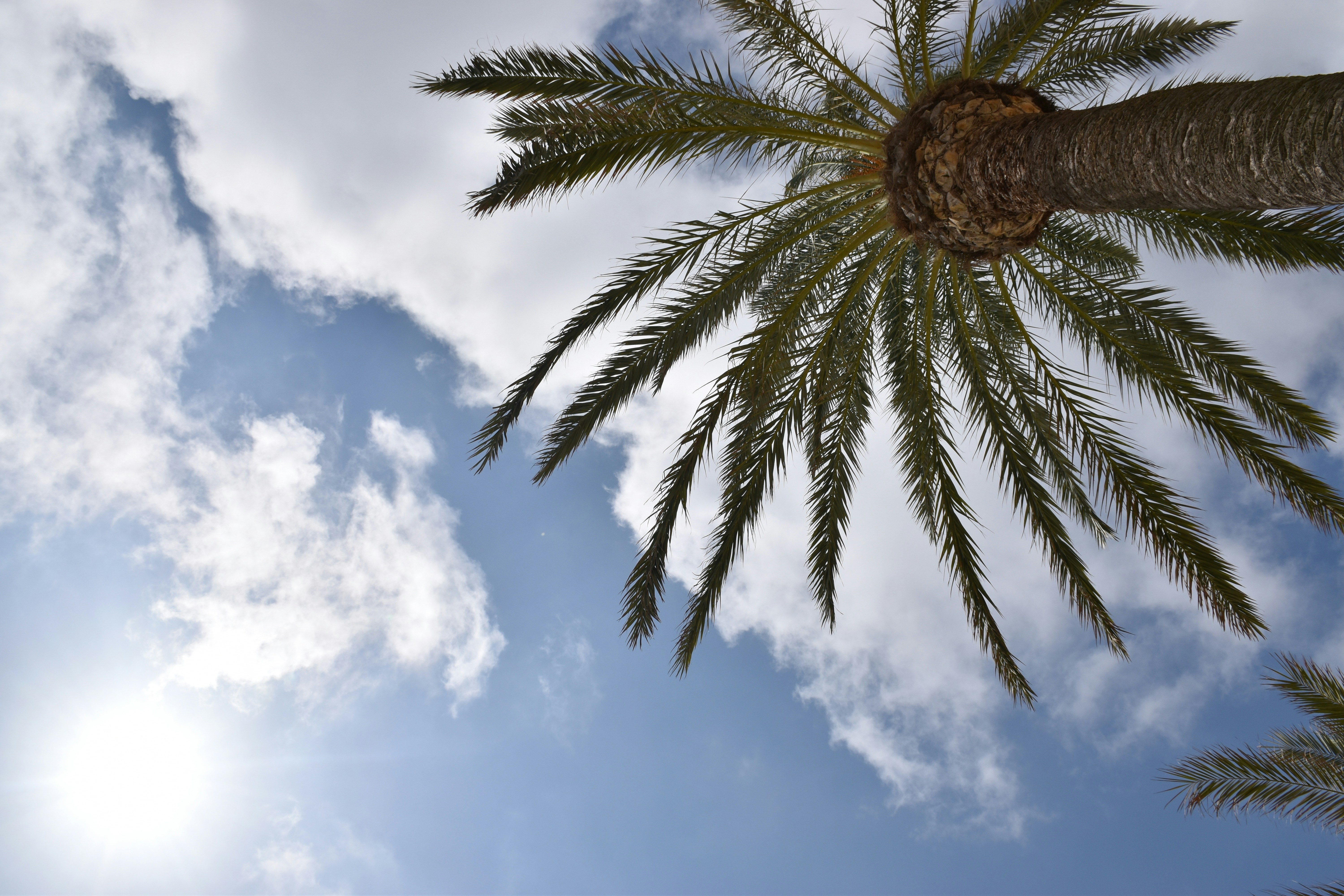 Photo by esthermuilwijk