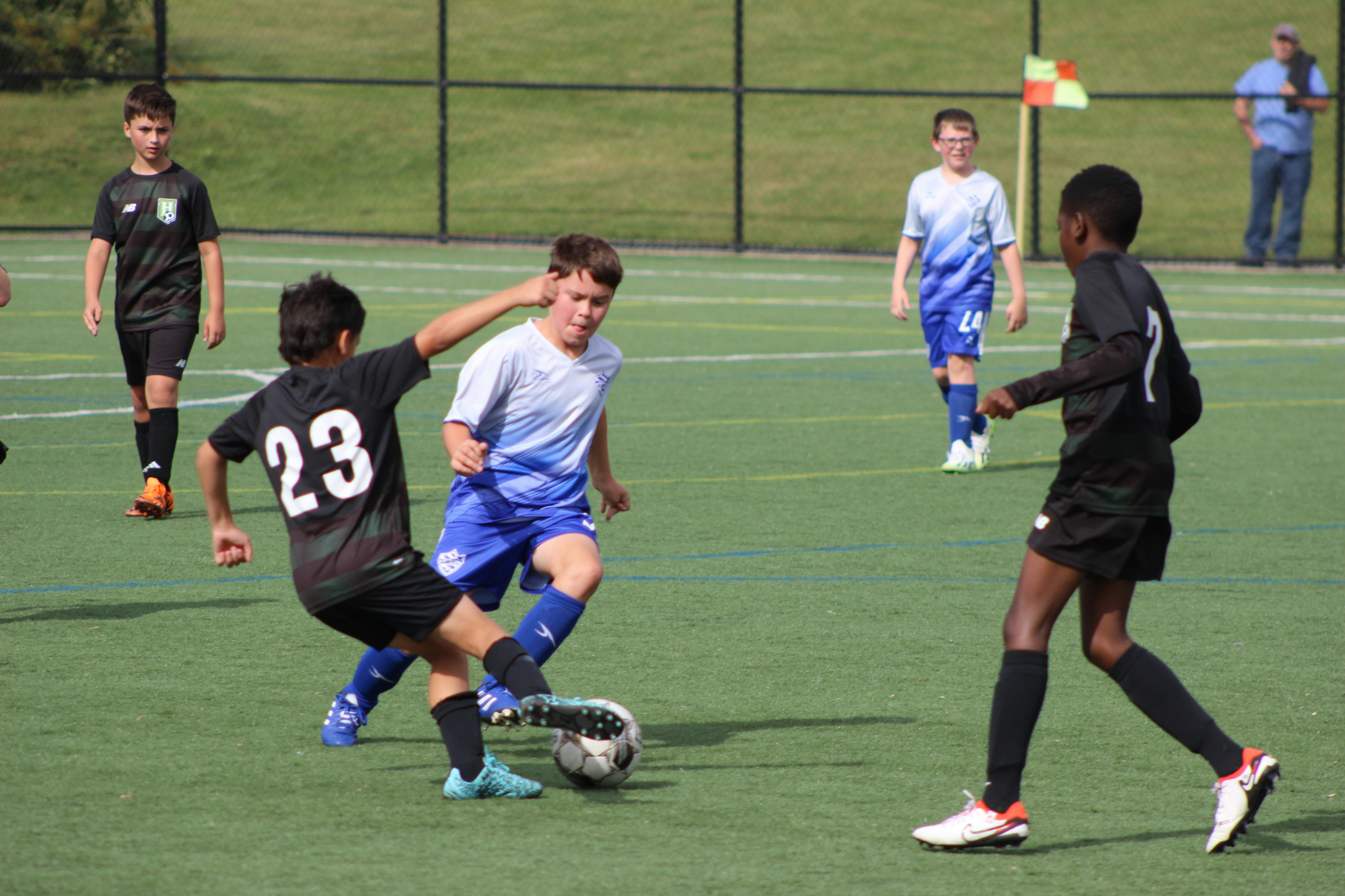 Photo by dbrewster66