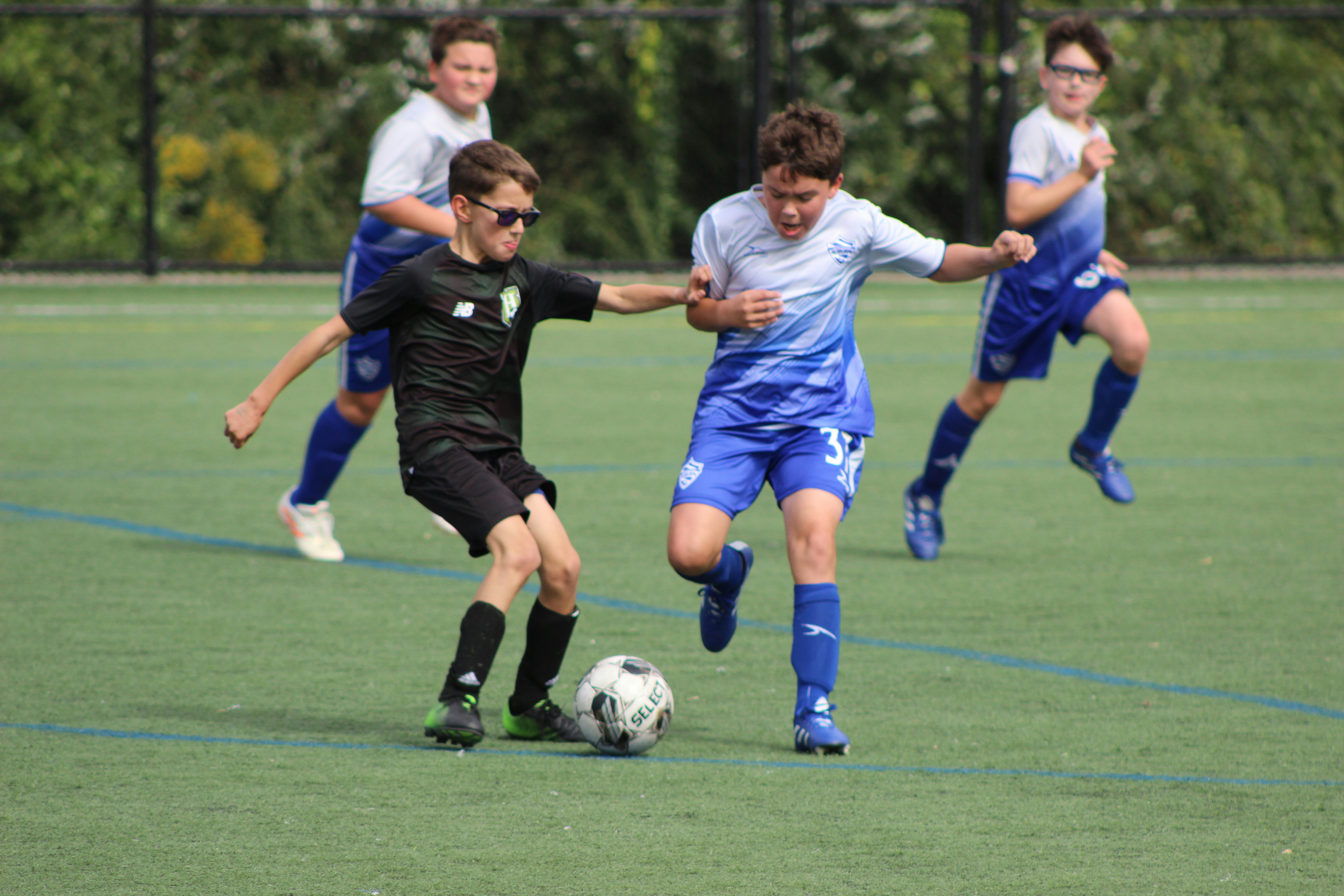 Photo by dbrewster66