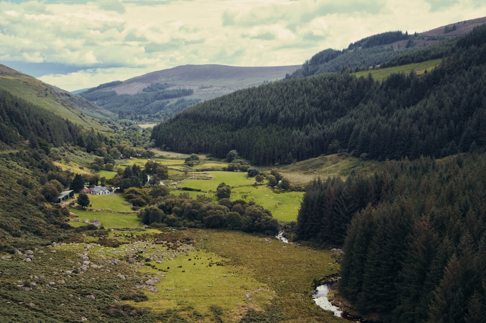 a valley with a river running through it