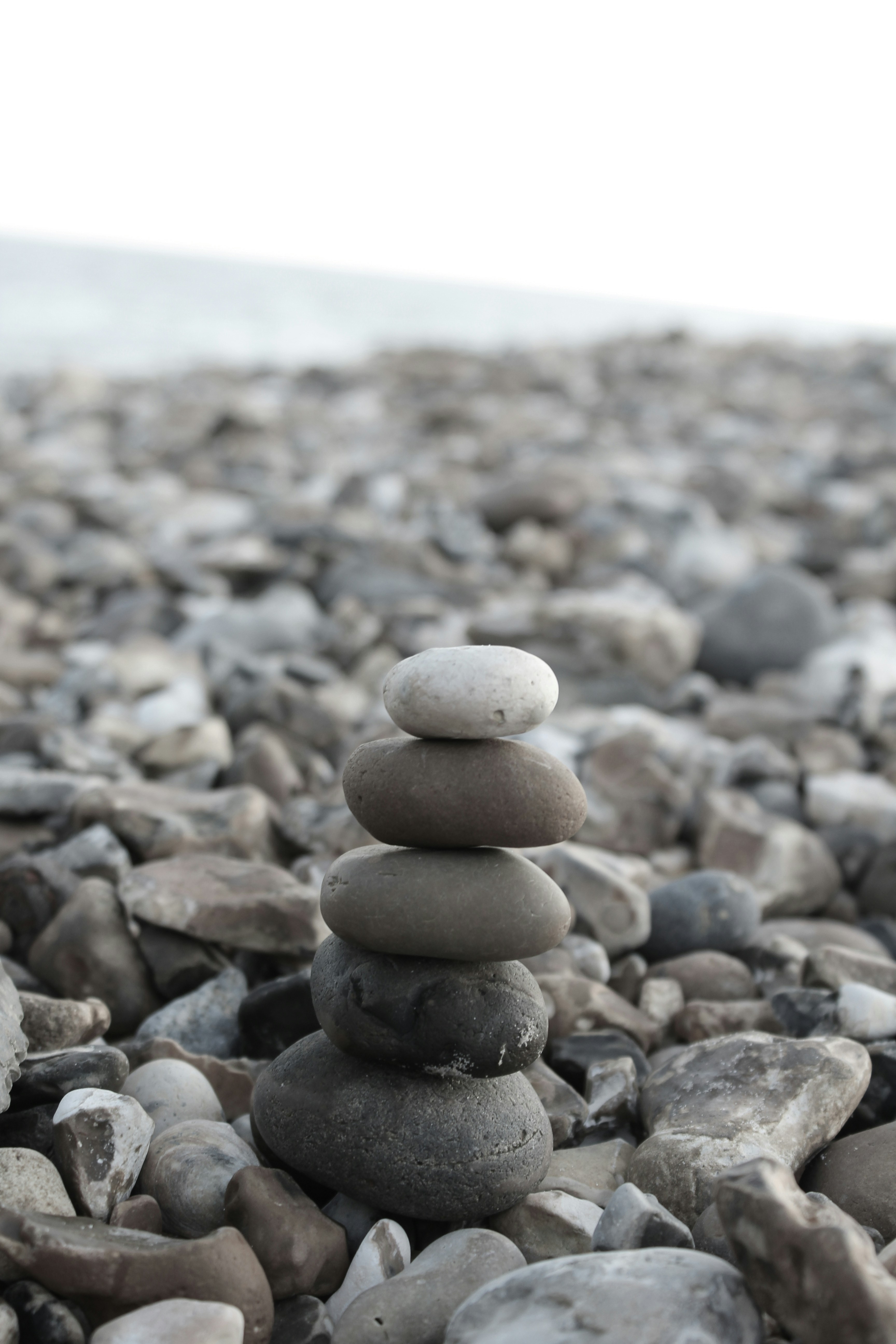 Photo by taketwentysix