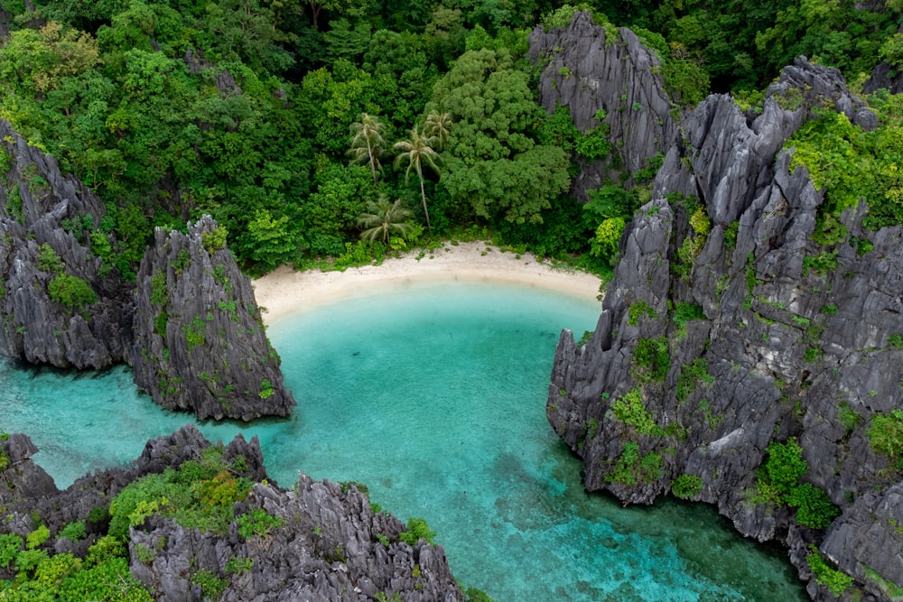 an aerial view of a beach surrounded by trees