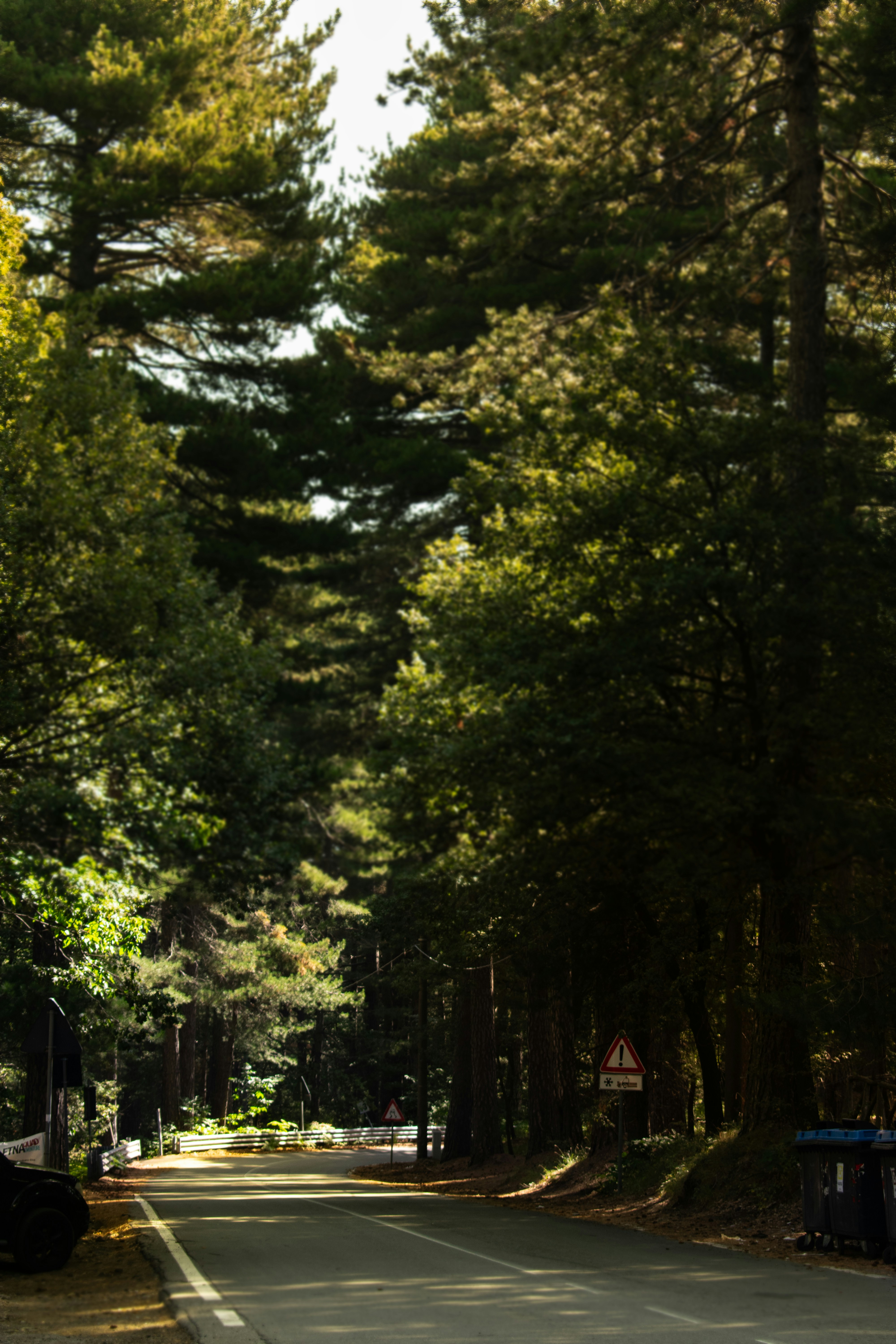 Photo by stefanotanny