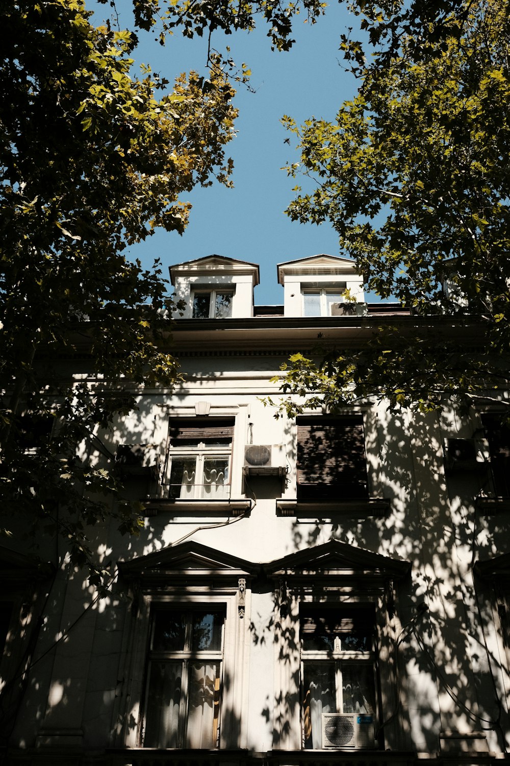 a tall white building with windows and trees in front of it