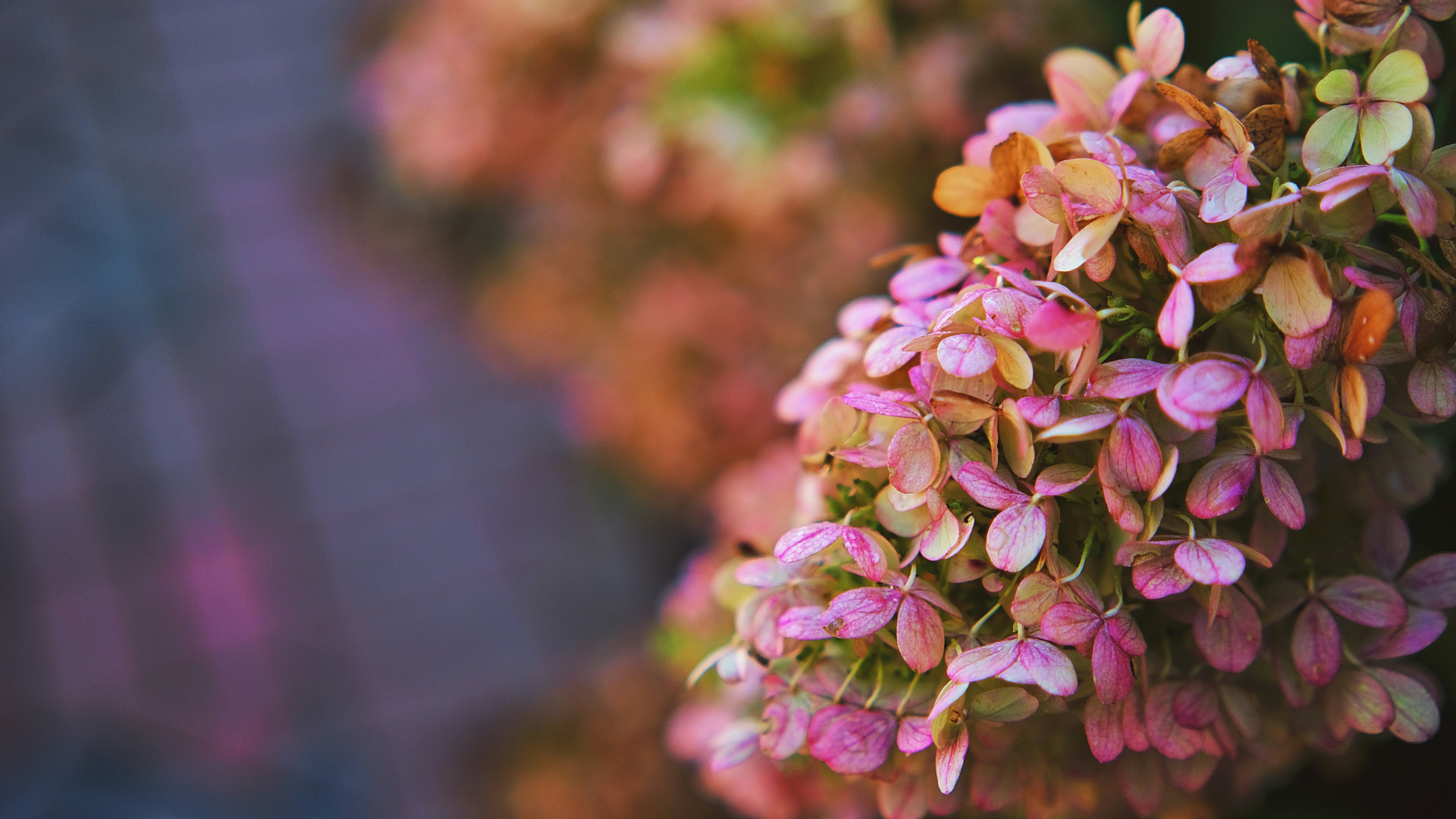 Photo by leiadakrozjhen