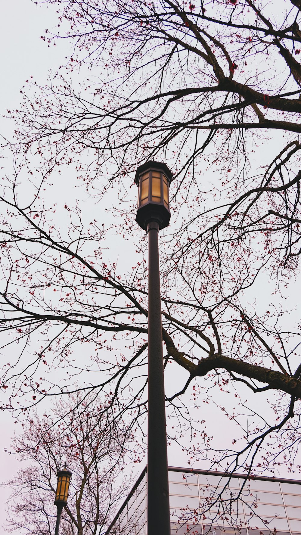 a street light sitting next to a tree