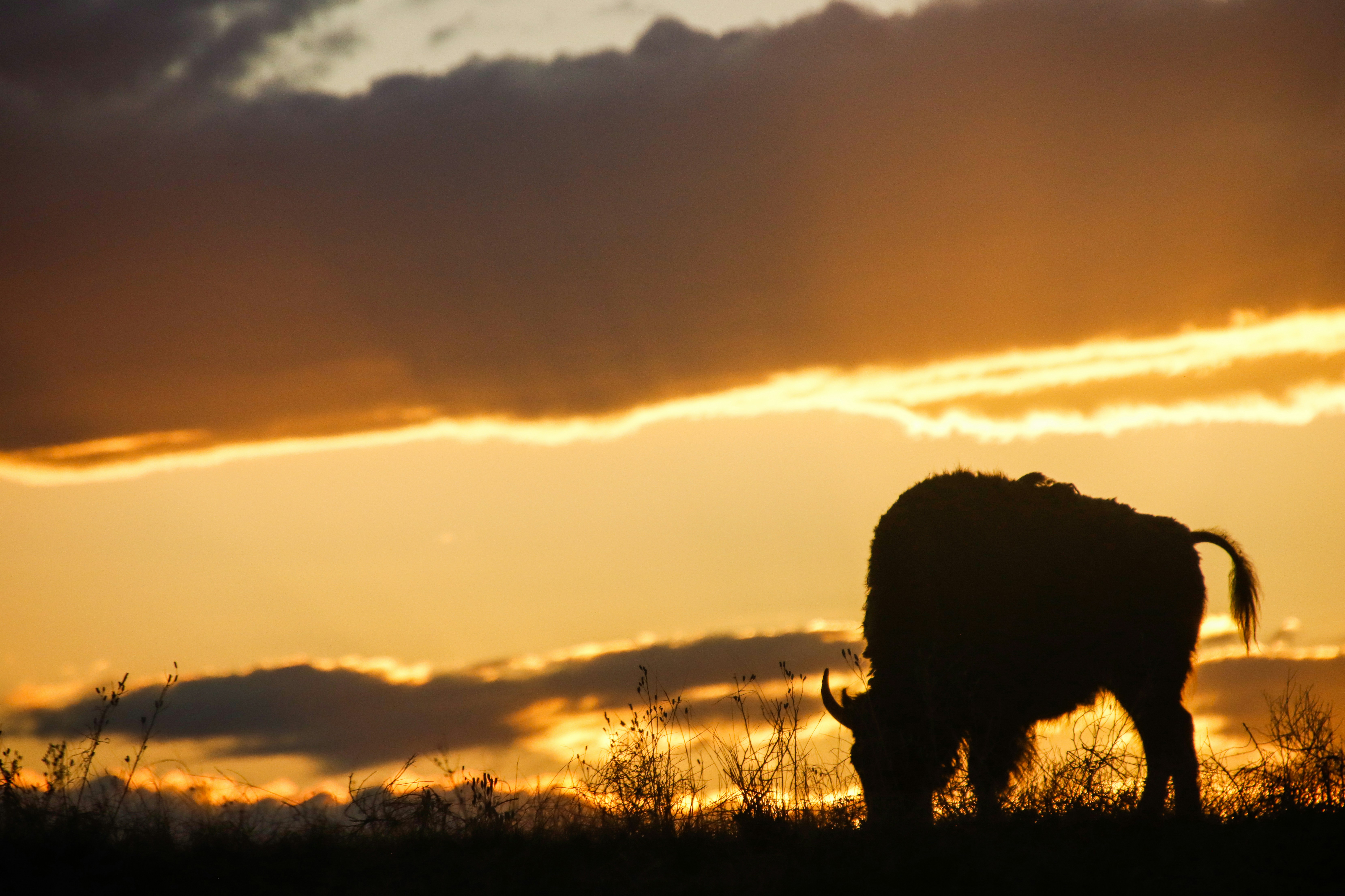 Photo by alla_kemelmakher