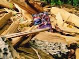 A vibrant Pokémon card is partially buried among scattered, broken pieces of wood in a forested environment. Fallen leaves and the rough texture of tree bark surround the card.