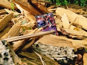 A vibrant Pokémon card is partially buried among scattered, broken pieces of wood in a forested environment. Fallen leaves and the rough texture of tree bark surround the card.