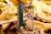 A smartphone is positioned against a backdrop of wooden debris and leaves. The screen displays a colorful card game card. The phone is angled to show both the front screen and the back camera. The surrounding environment includes fragments of wood and autumn leaves.