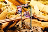 A smartphone is displayed among a bed of broken beige and yellow wood pieces, showcasing a Pokémon card on its screen. Another Pokémon card is situated behind the phone, partially visible. Autumn leaves are scattered among the wooden fragments.