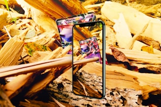 A vibrant collection of Pokémon cards spread out on a wooden table, with a laptop showing the Poke Accent website in the background.