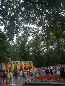 A vibrant community meeting in a local park.
