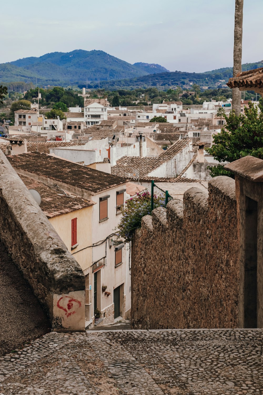 a view of a city with mountains in the background