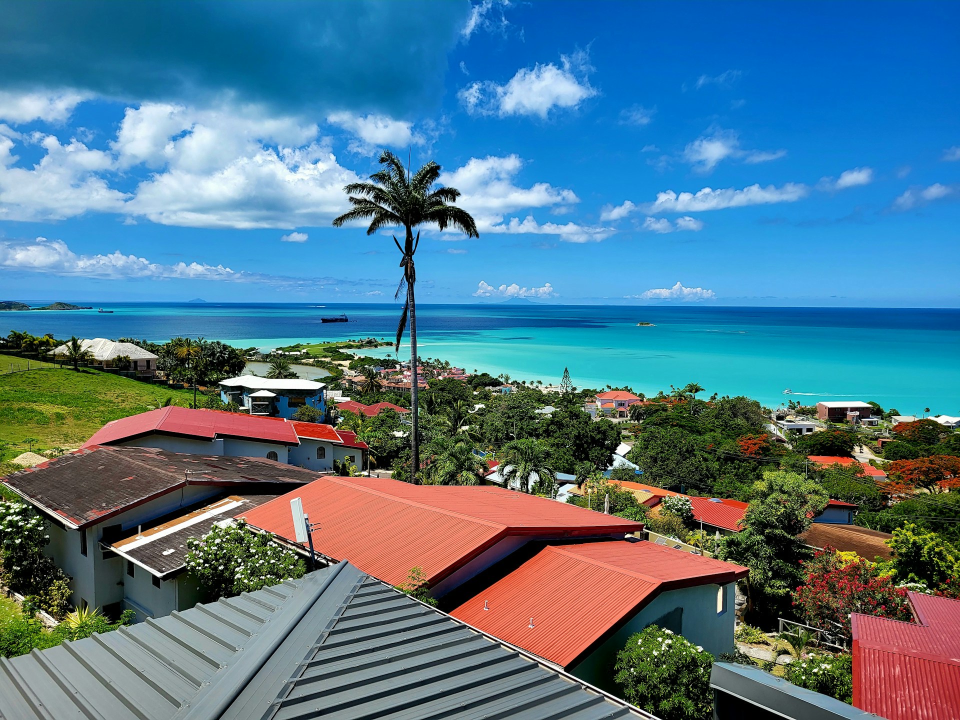 black and white bed linen