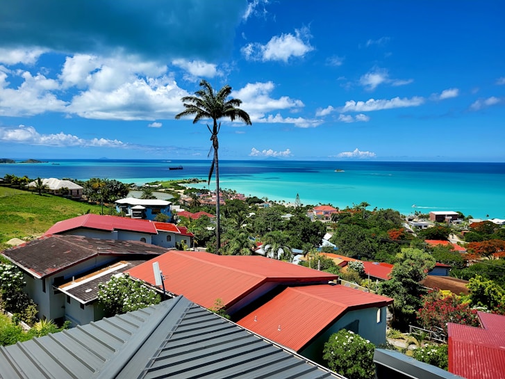A picturesque coastal view featuring turquoise ocean waters, a clear blue sky with scattered white clouds, and a serene residential area with houses that have red and gray roofs. A tall, singular palm tree stands prominently in the foreground, surrounded by lush green vegetation.