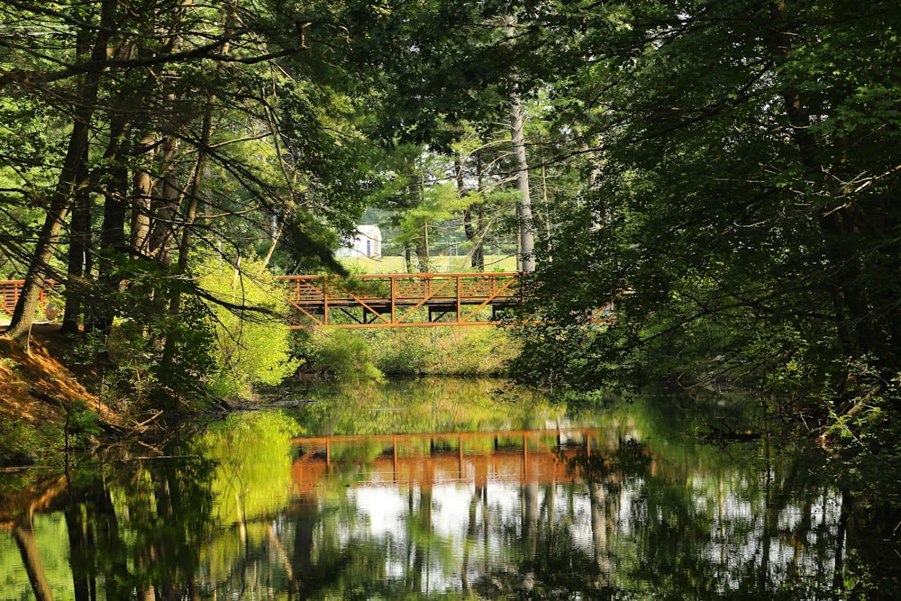 a wooden bridge over a river surrounded by trees