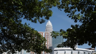 High-rise buildings in an urban cityscape are framed by lush green tree branches, creating a contrast between nature and architecture. The tallest building features modern design elements with glass and brick, rising prominently against a clear blue sky. The view includes additional structures in the foreground, such as a recognizable venue.