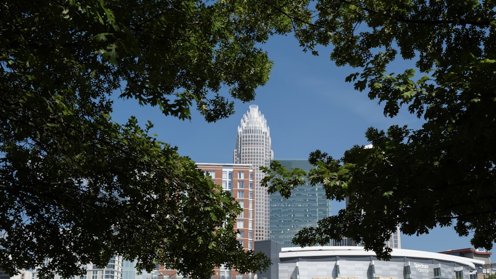 a view of a building through some trees