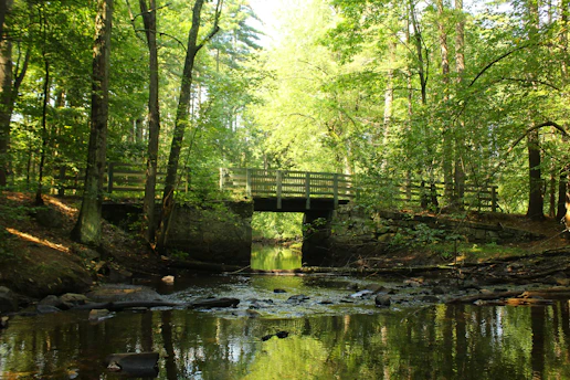 A serene bridge over calm water surrounded by soft green foliage under a gentle morning light.