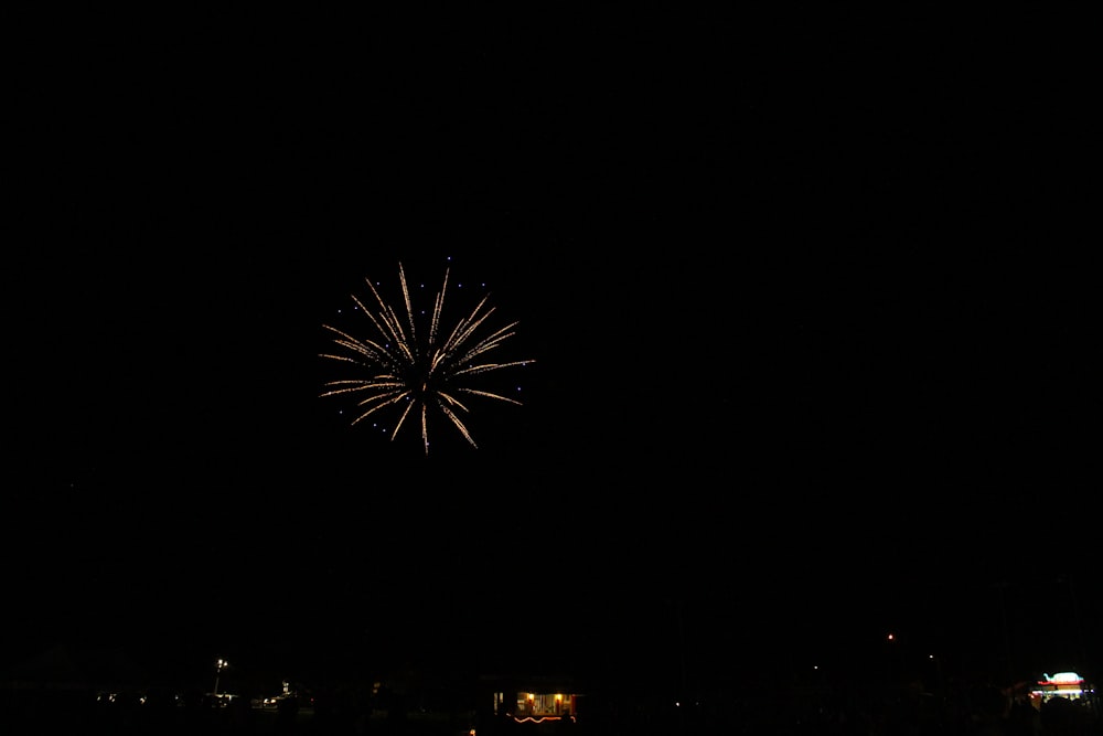 a fireworks is lit up in the dark sky